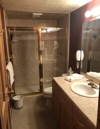 ParkCity_SummitCounty_Restoration_Remodel_Pinebrook_Bathroom_Before